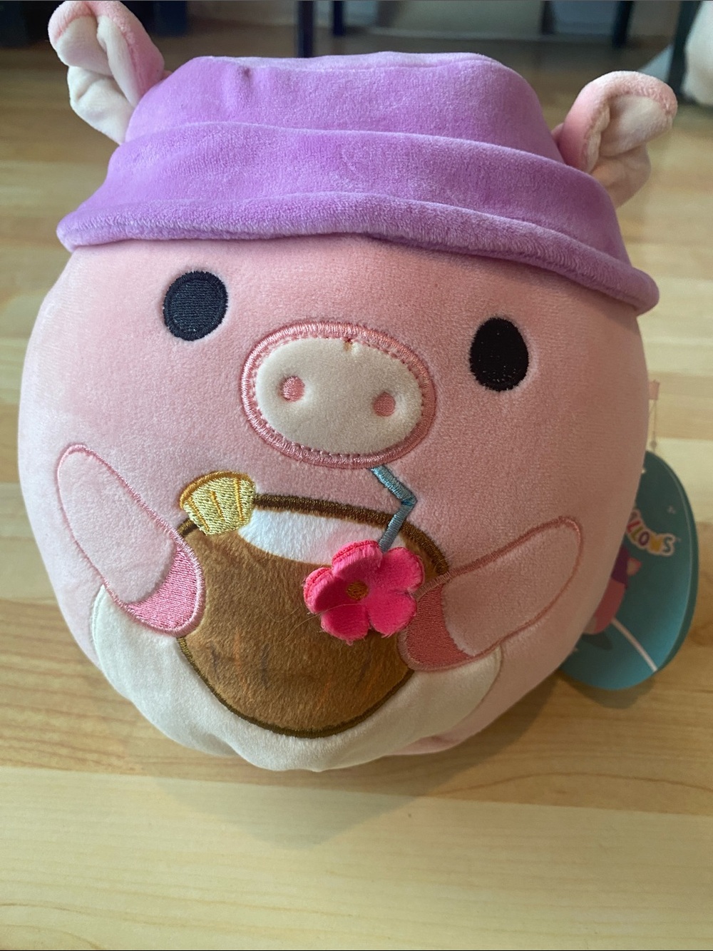 Squishmallows 9” Pink Plush Pig with Purple Beanie and Coconut Embroidery